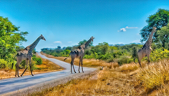 Zambia