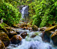 The Lost Falls
