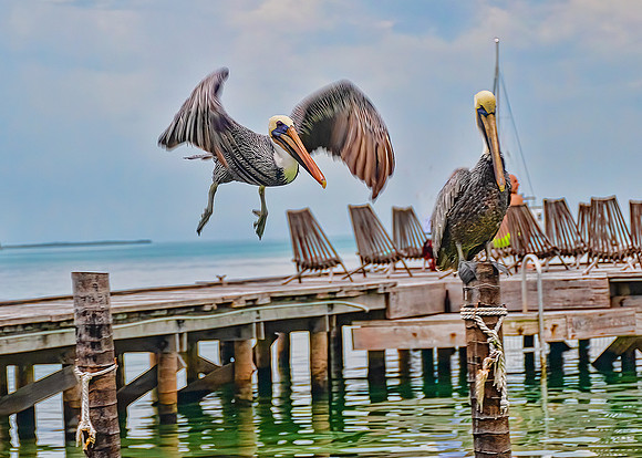 Caye Caulker