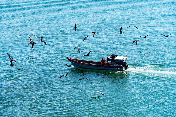 Gulf of Chiriqui, Panama