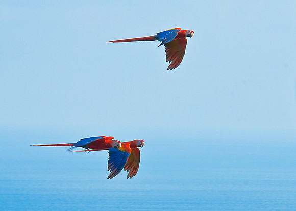 Costa Rica
