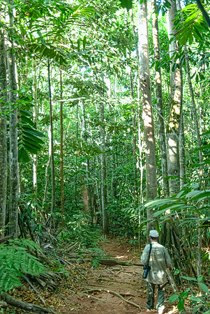 OSA Peninsula