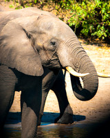 Botswana