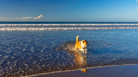 Las Lajas Beach