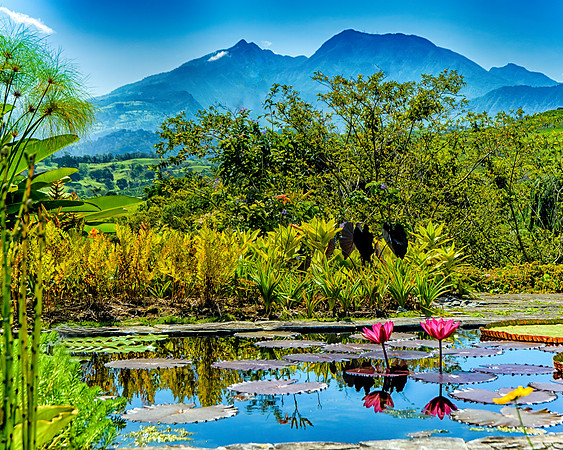 Volcan Baru, Panama