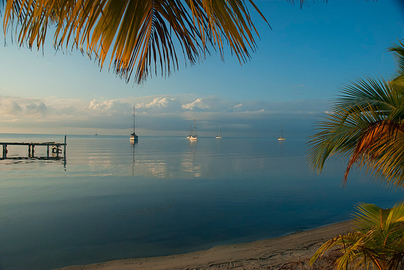 Placencia
