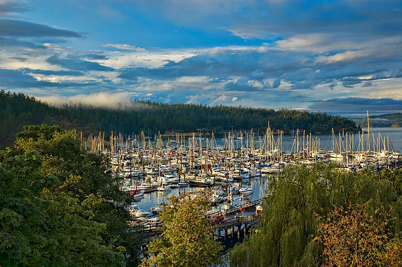 Friday Harbor, San Juan Island