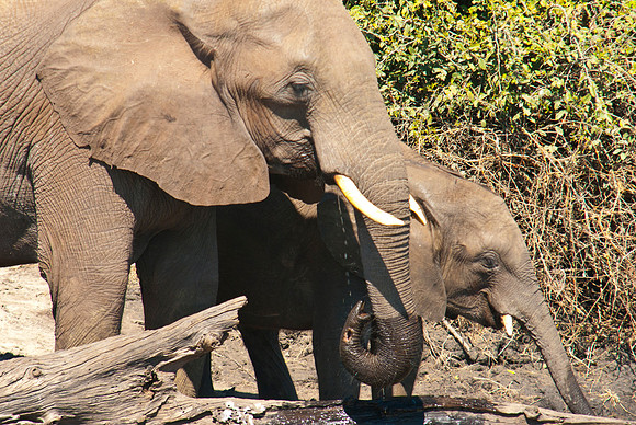 Botswana