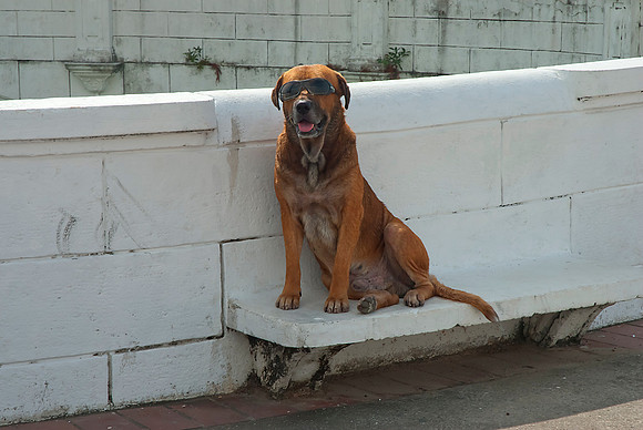 Panama City Resident