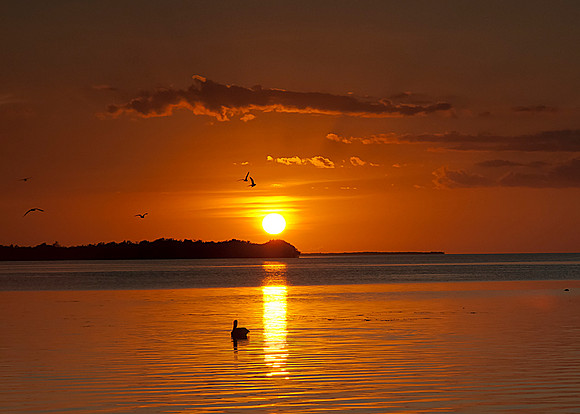 Caye Caulker