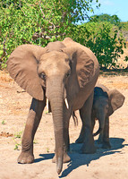 Botswana