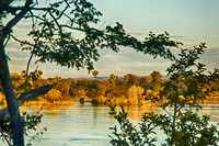 Zambia
