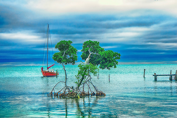 Caye Caulker