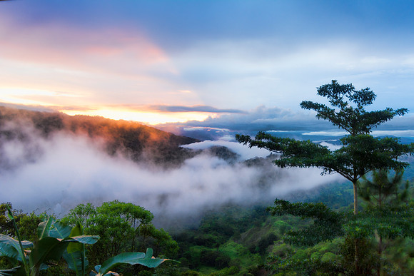 Sunset View