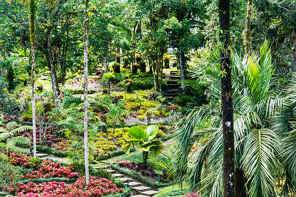 Wilson Botanical Gardens