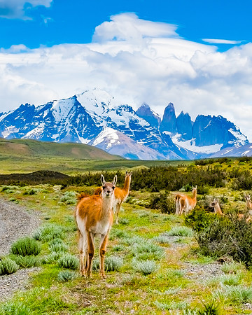Patagonia