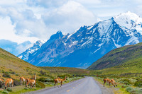 Patagonia