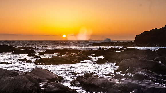 Cambria, California