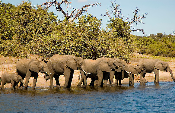 Botswana