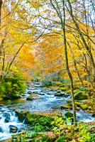 Little River