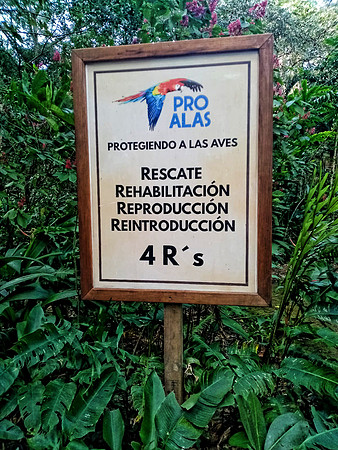 Macaw Mountain Park, Copan