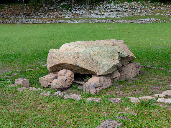 Cosmic Turtle (South Head)