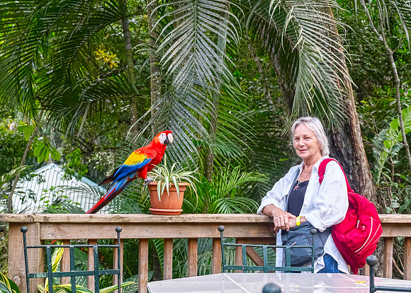 Macaw Mountain