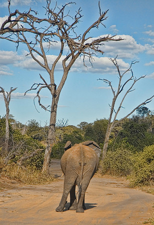 Botswana