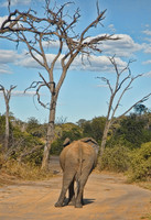 Botswana