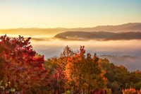 Fall Color
