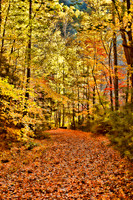Elkmont, TN