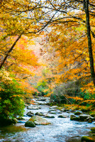 Little River, Tennessee