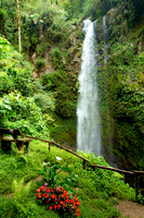The Lost Falls