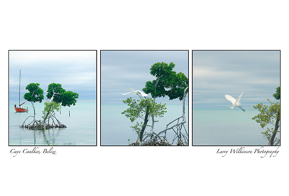 Caye Caulker
