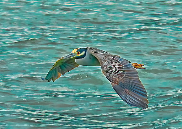 Caye Caulker
