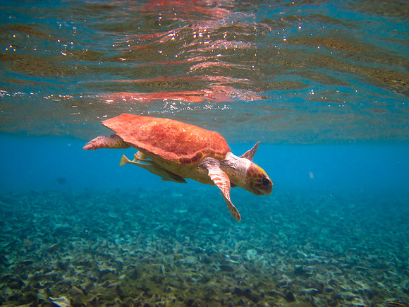 South Water Caye, Belize