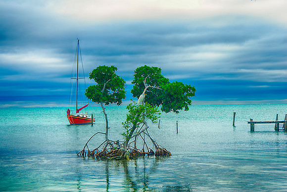 Caye Caulker, Belize
