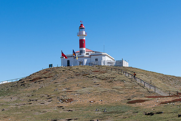 Isla Magdalena, Chile
