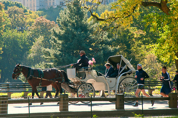 Central Park