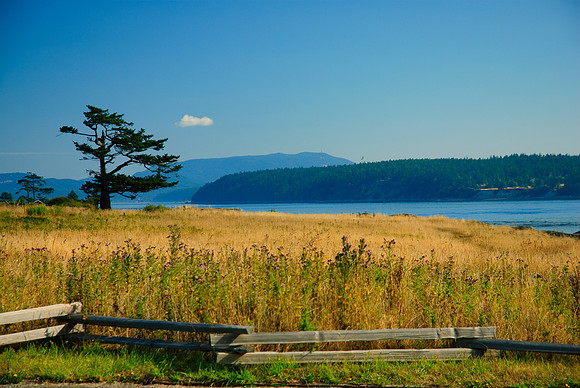 San Juan Island