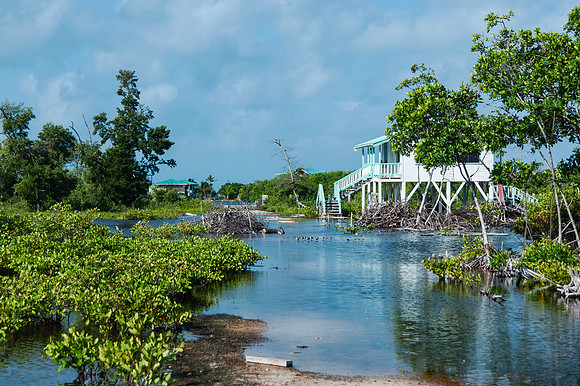 Caye Caulker