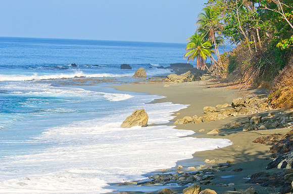 Pacific Coast, OSA