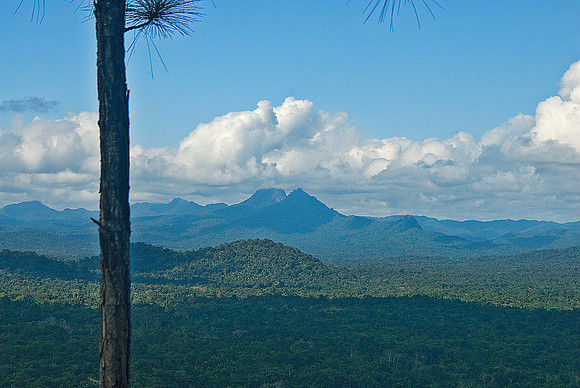 Victoria Peak, Maya Mountains
