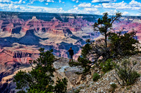 South Rim