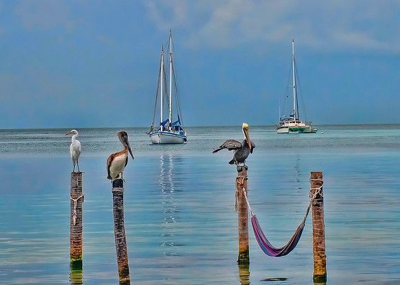 Caye Caulker