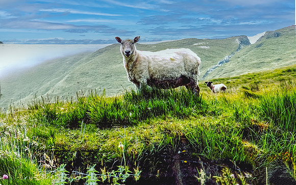 Ireland