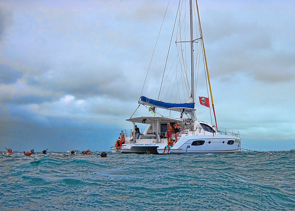Barrier Reef